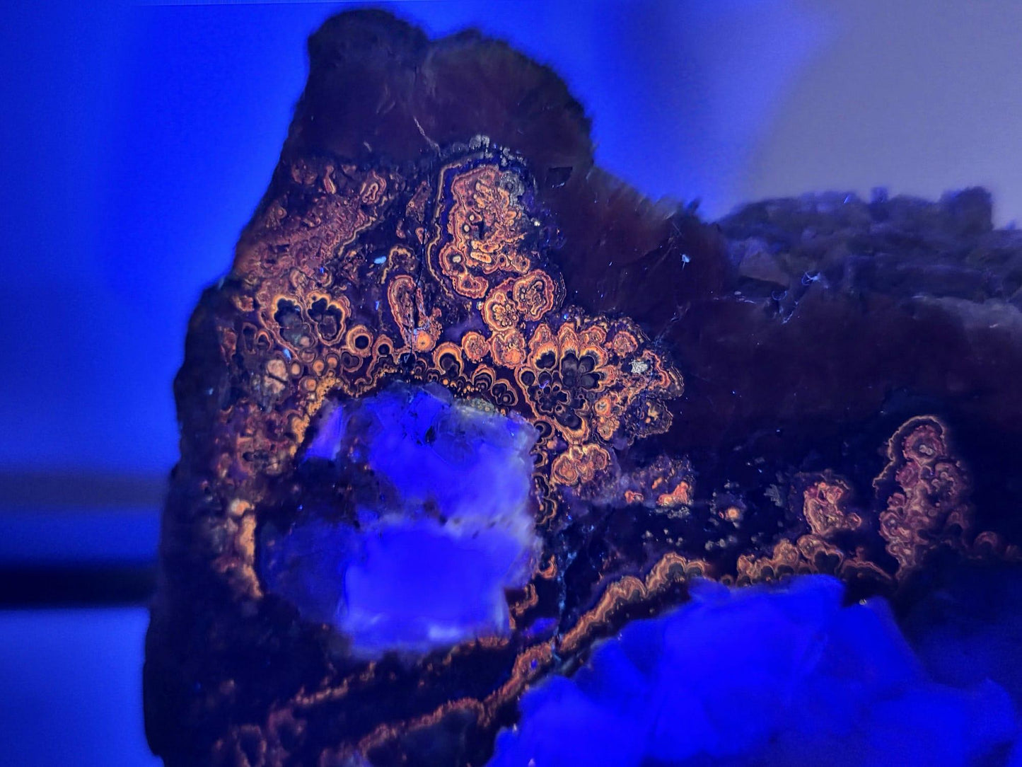 Large Imperial Baryte Crystal Slice (#1)