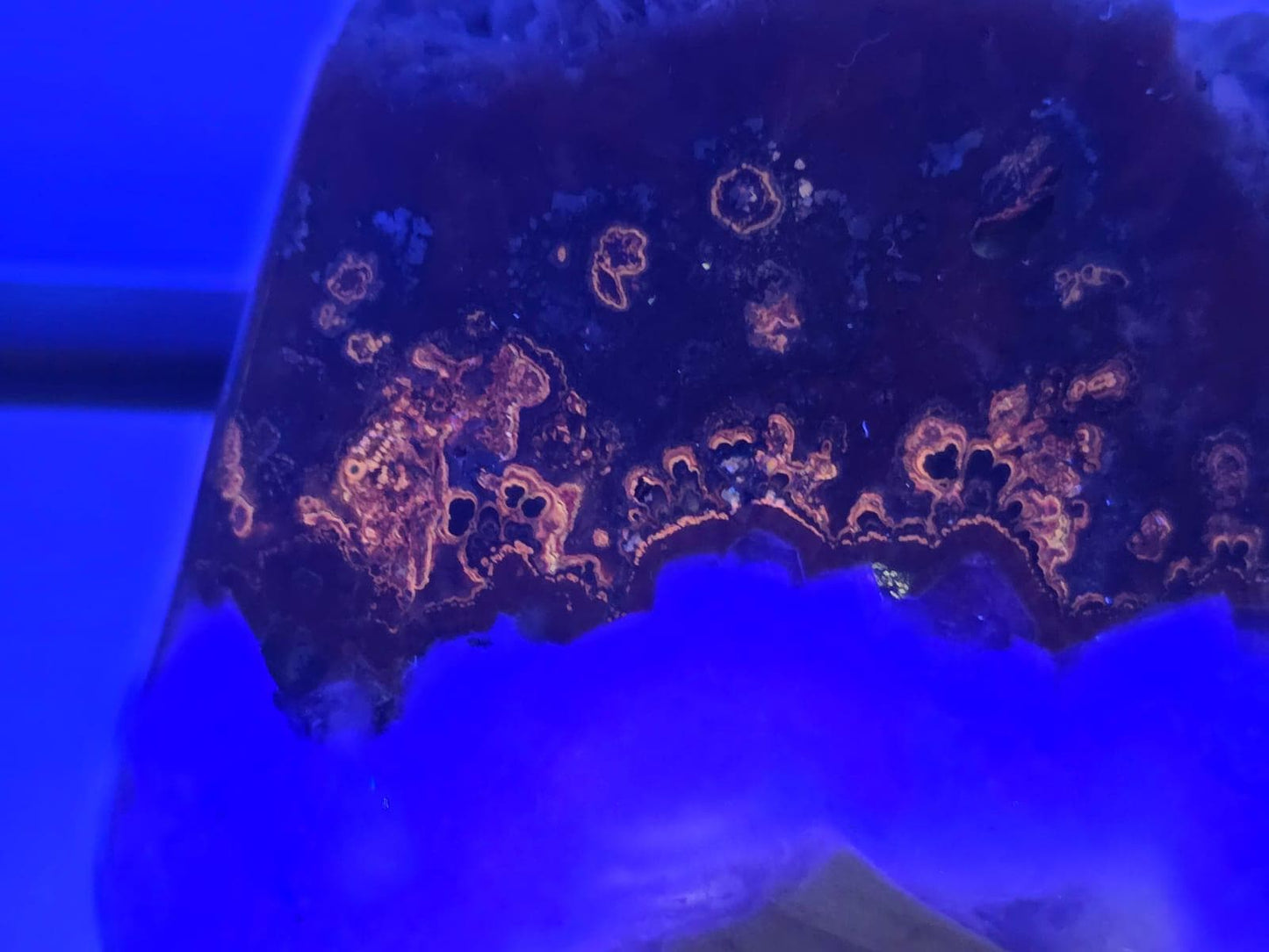 Large Imperial Baryte Crystal Freeform(#4)