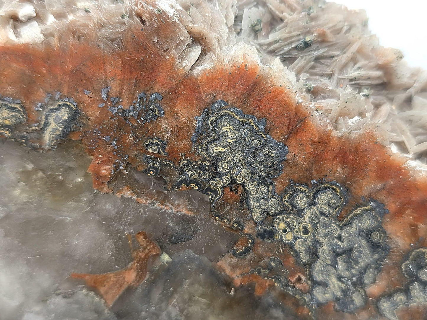 Large Imperial Baryte Crystal Slice (#1)
