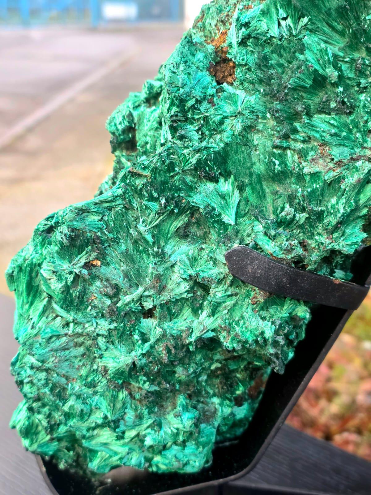 Large Velvet Malachite Crystal on Stand – Statement Mineral Display | Collector’s Piece