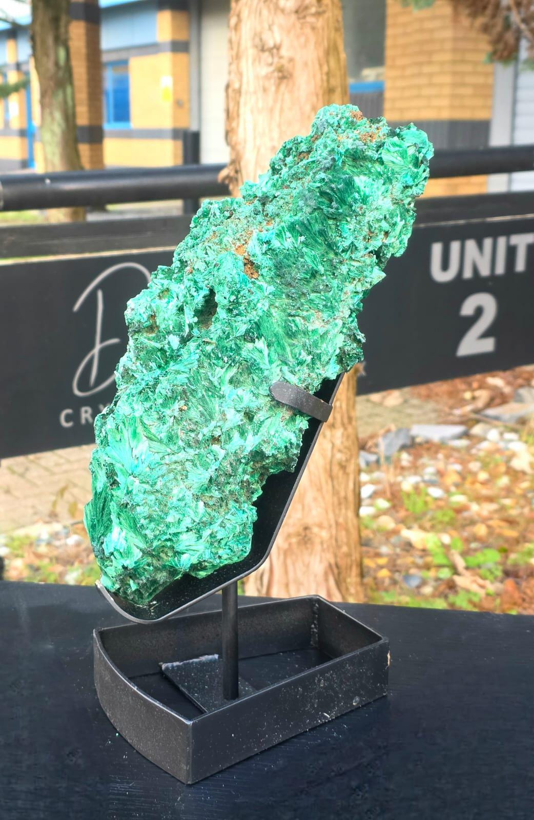 Large Velvet Malachite Crystal on Stand – Statement Mineral Display | Collector’s Piece