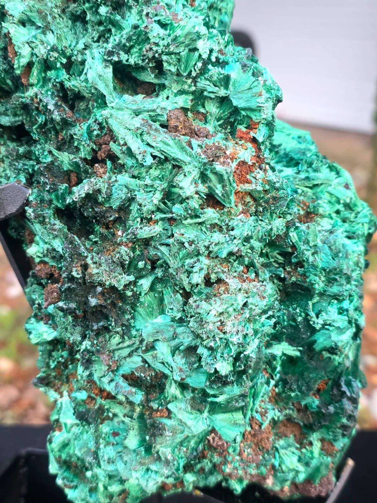 Large Velvet Malachite Crystal on Stand – Statement Mineral Display | Collector’s Piece