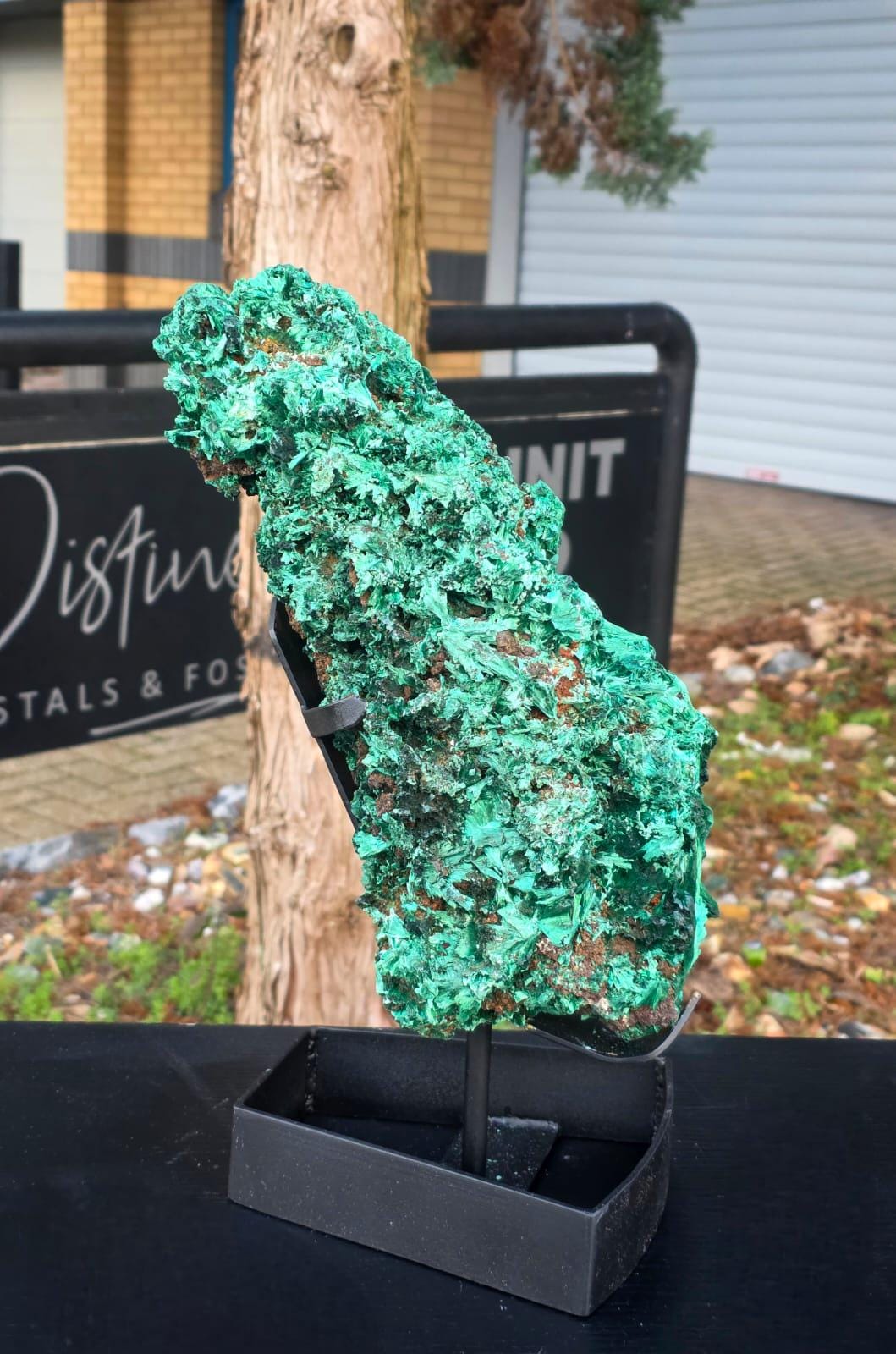 Large Velvet Malachite Crystal on Stand – Statement Mineral Display | Collector’s Piece