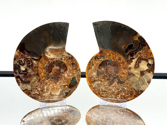 Ammonite Fossil Pair - 1.03KG - #30