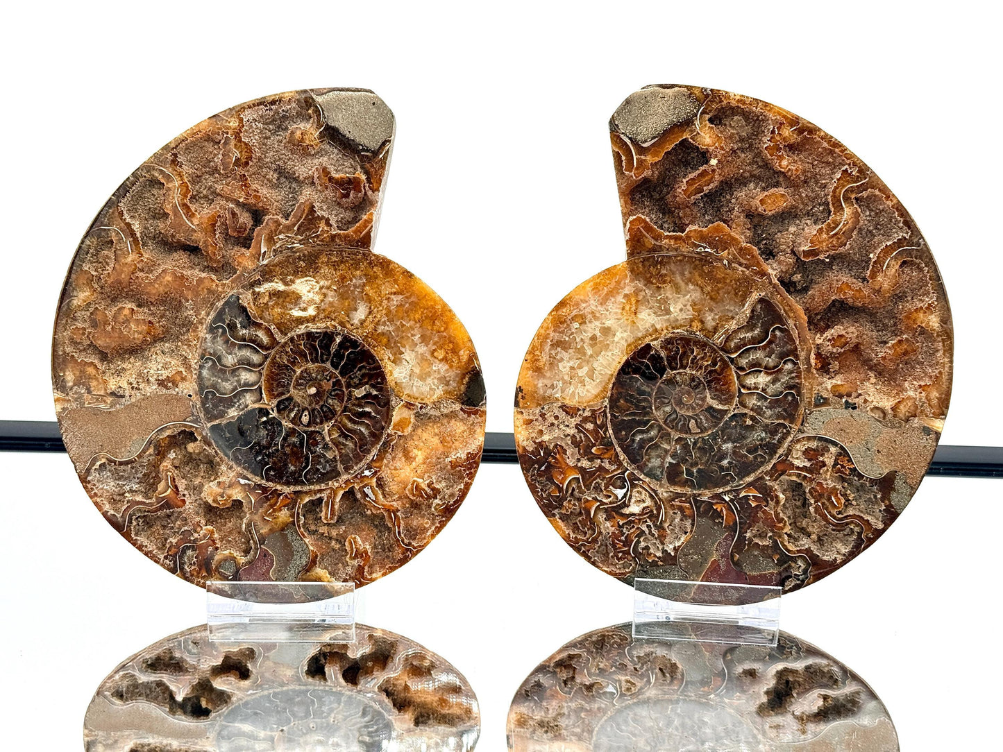 Ammonite Fossil Pair - 1.31KG - #27