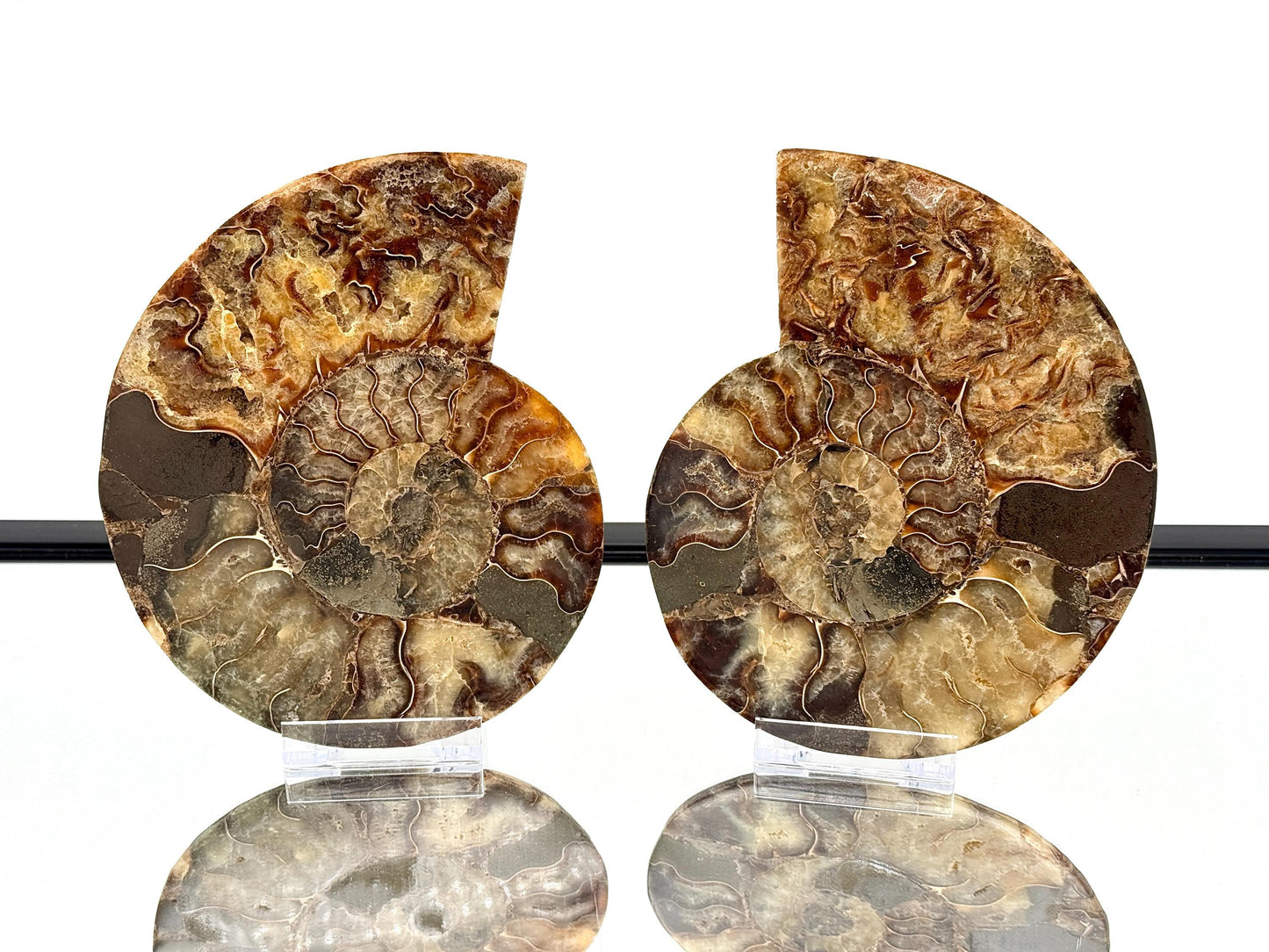 Ammonite Fossil Pair - 0.89KG - #25