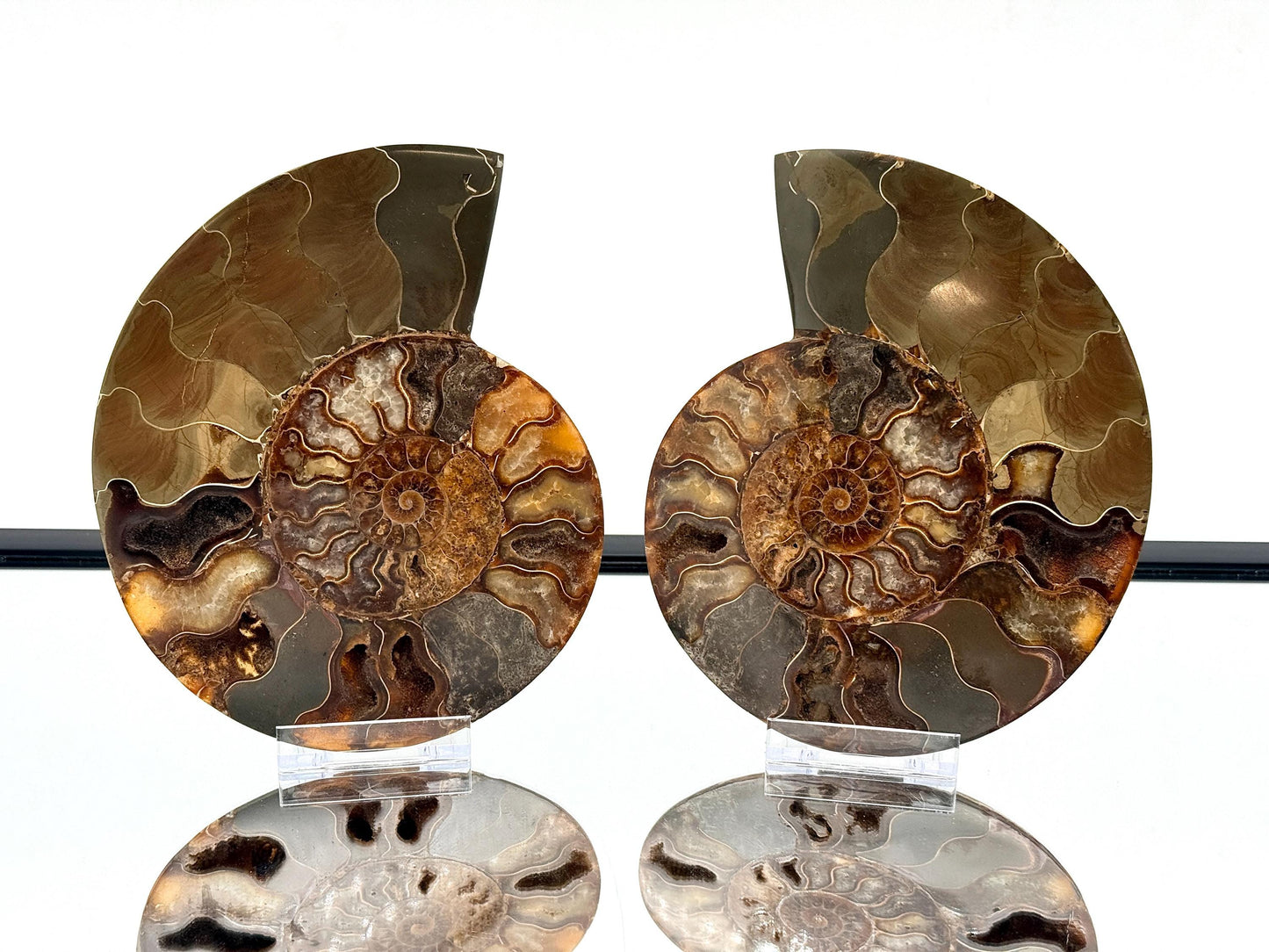 Ammonite Fossil Pair - 1.14KG - #23