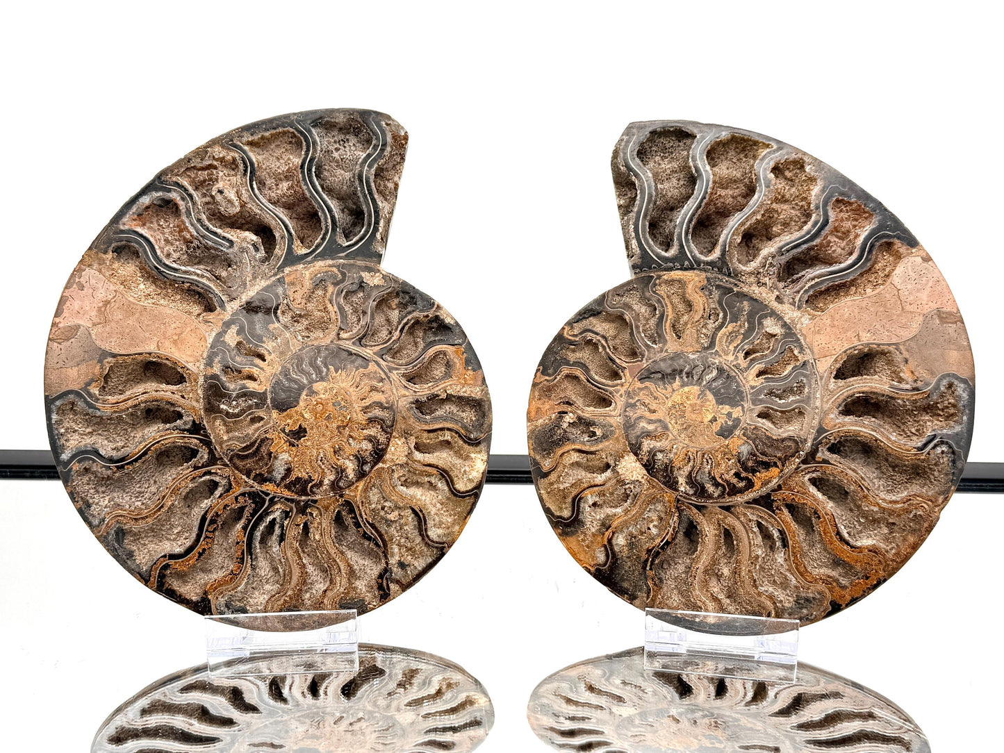 Ammonite Fossil Pair - 1.57KG - #47