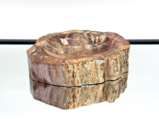 Large Fossil Wood Crystal Bowl | Natural Home Decor (#4)