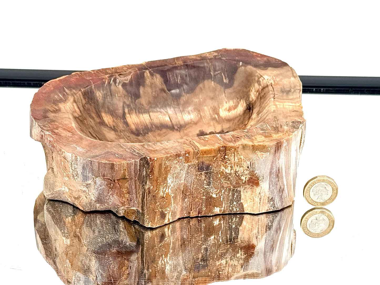 Large Fossil Wood Crystal Bowl | Natural Home Decor (#3)
