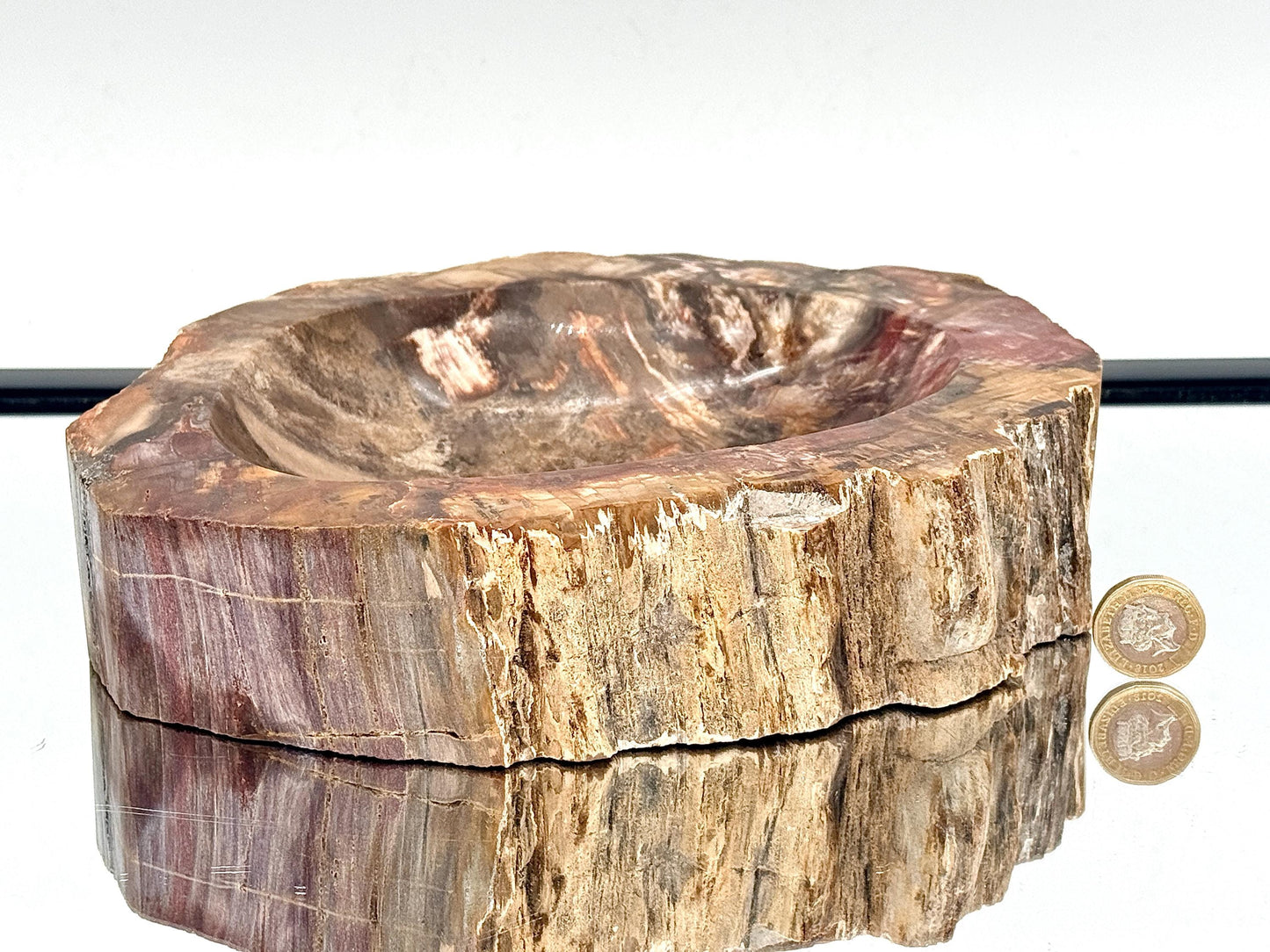 Large Fossil Wood Crystal Bowl | Natural Home Decor (#4)