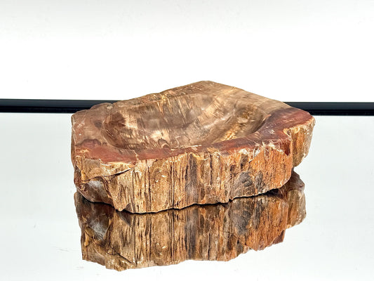 Large Fossil Wood Crystal Bowl | Natural Home Decor (#2)