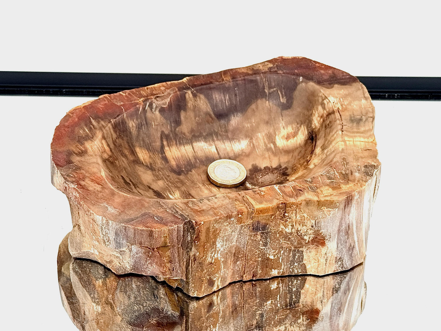 Large Fossil Wood Crystal Bowl | Natural Home Decor (#3)