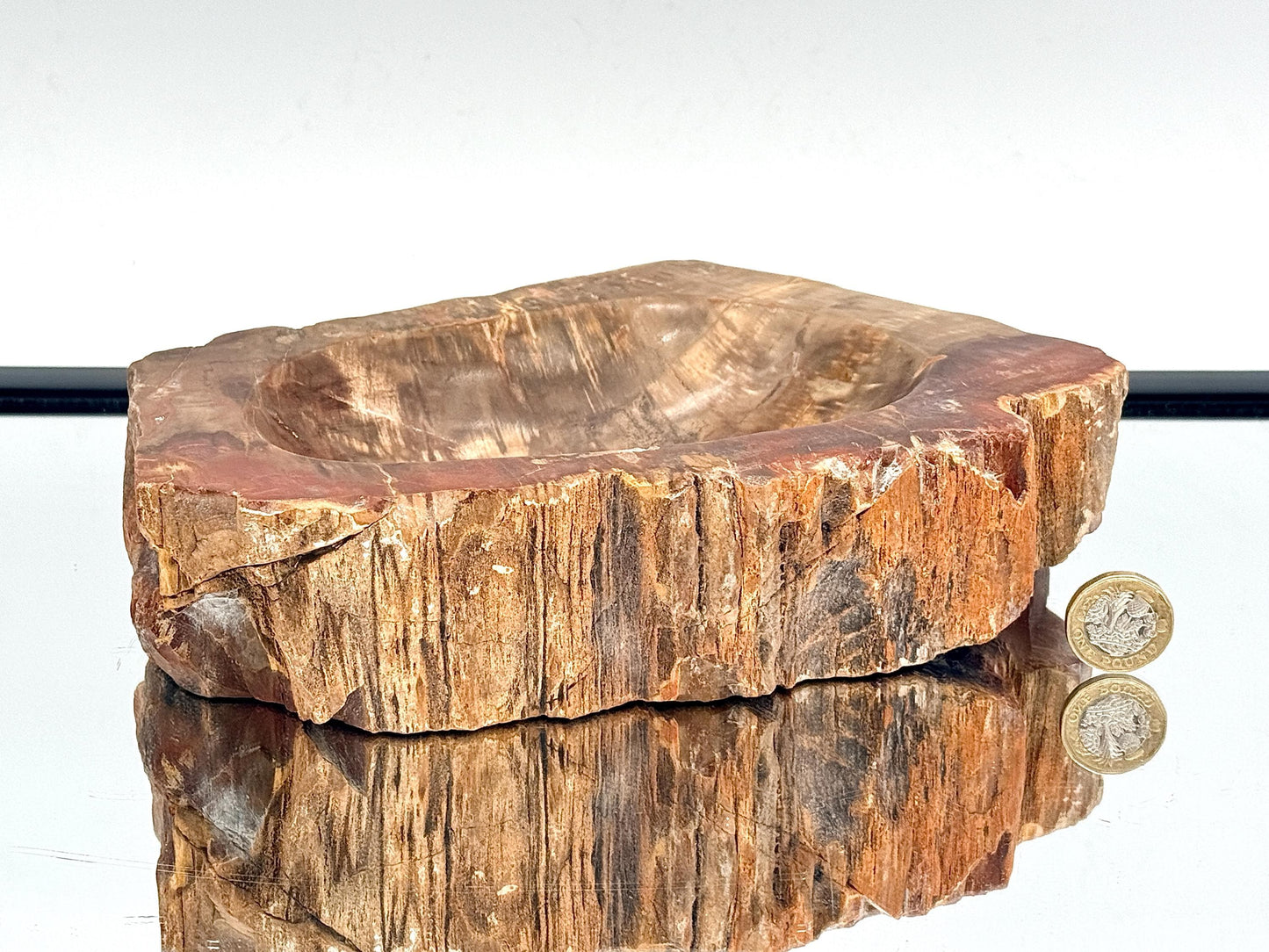 Large Fossil Wood Crystal Bowl | Natural Home Decor (#2)