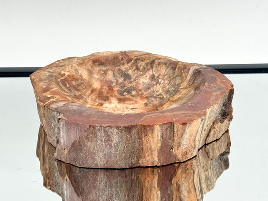 Large Fossil Wood Crystal Bowl | Natural Home Decor (#1)