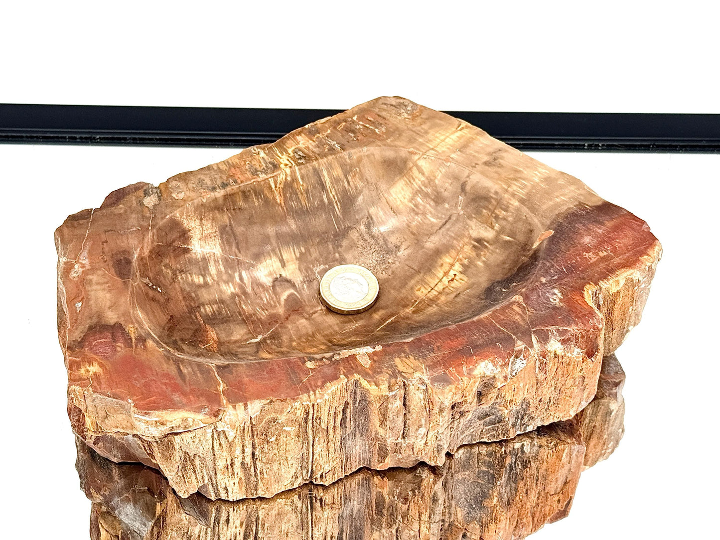 Large Fossil Wood Crystal Bowl | Natural Home Decor (#2)
