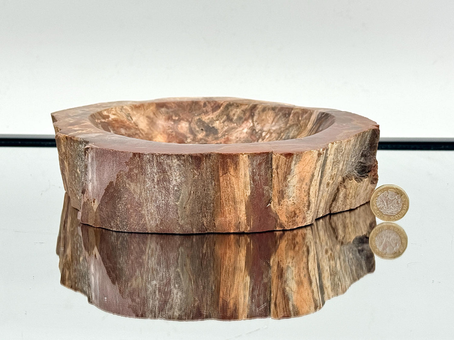 Large Fossil Wood Crystal Bowl | Natural Home Decor (#1)