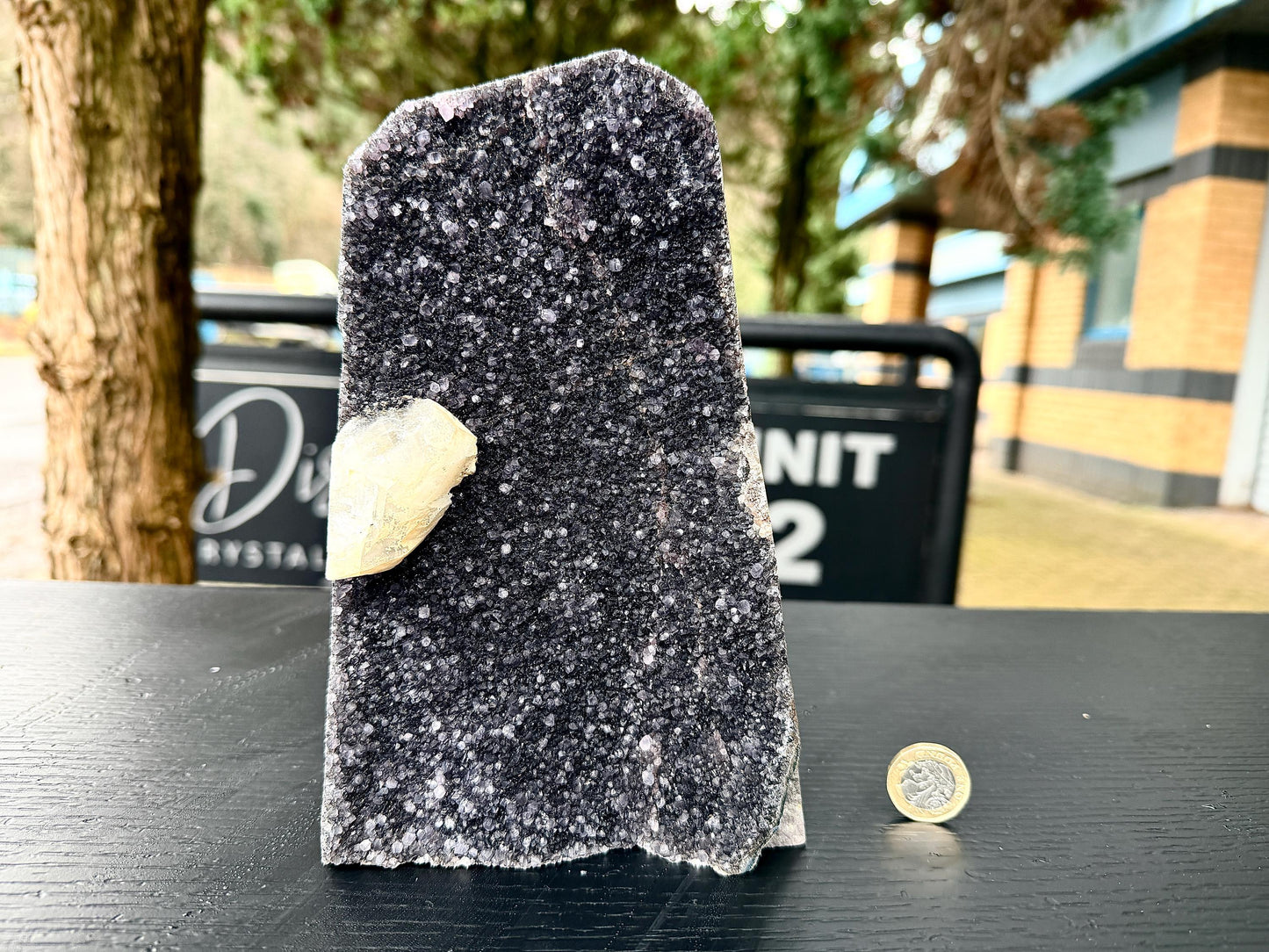 Extra Large Natural Black Amethyst Crystal Geode (#3)