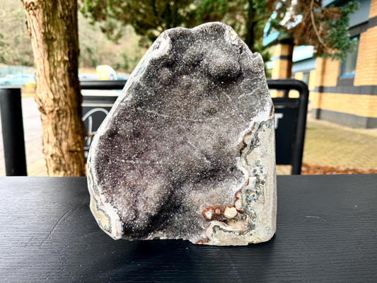 Extra Large Natural Black Amethyst Crystal Geode (#2)