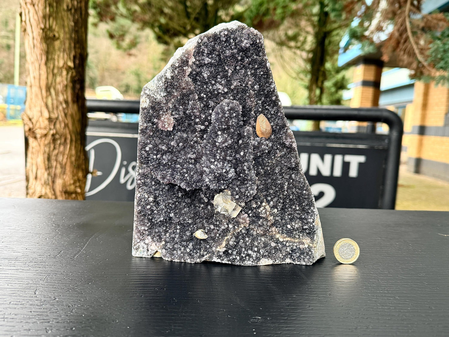Extra Large Natural Black Amethyst Crystal Geode (#1)
