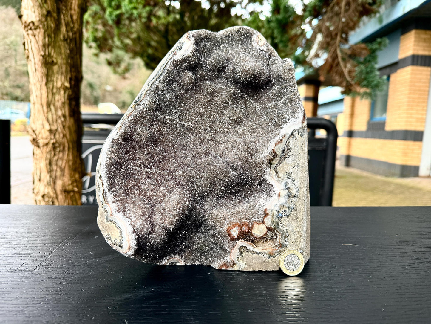 Extra Large Natural Black Amethyst Crystal Geode (#2)