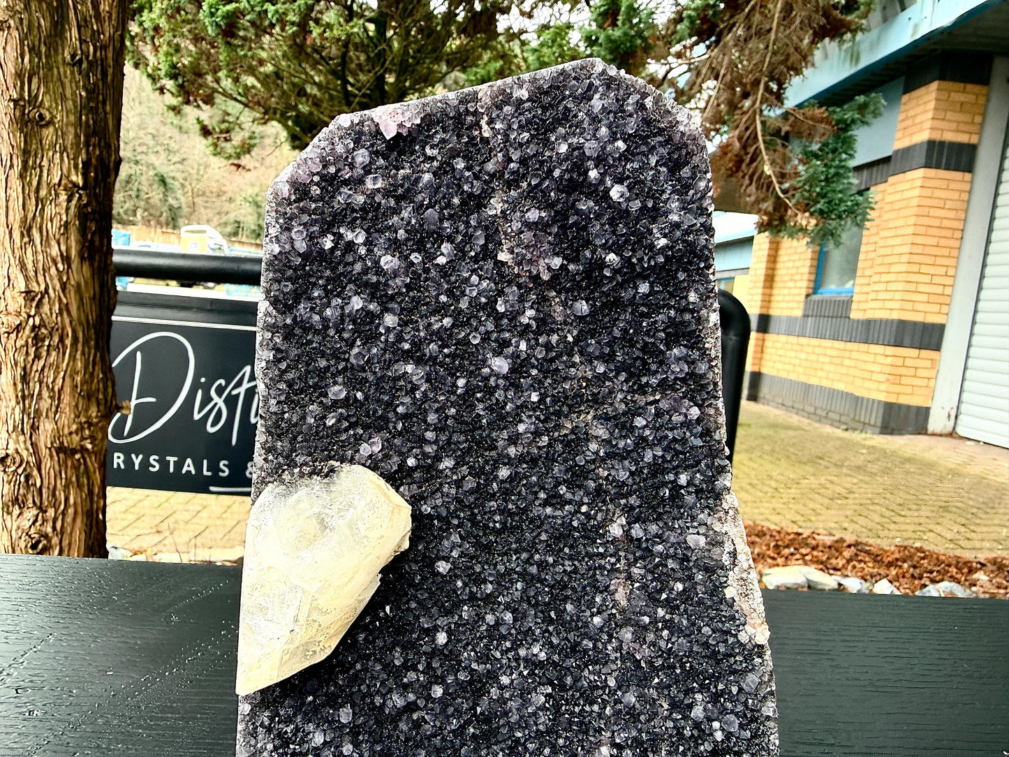 Extra Large Natural Black Amethyst Crystal Geode (#3)