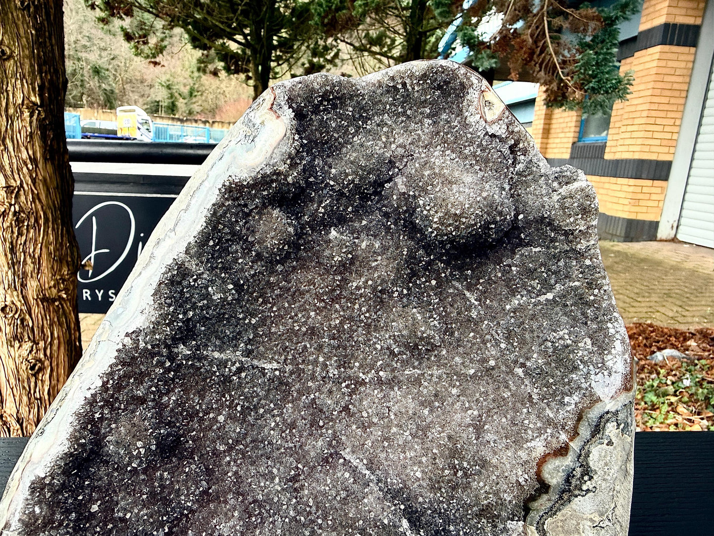 Extra Large Natural Black Amethyst Crystal Geode (#2)