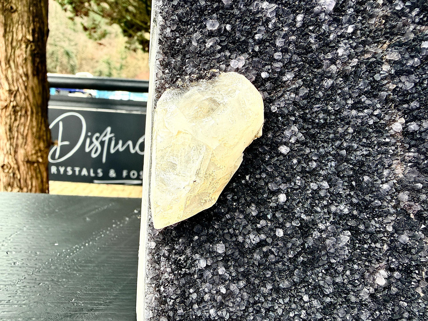 Extra Large Natural Black Amethyst Crystal Geode (#3)