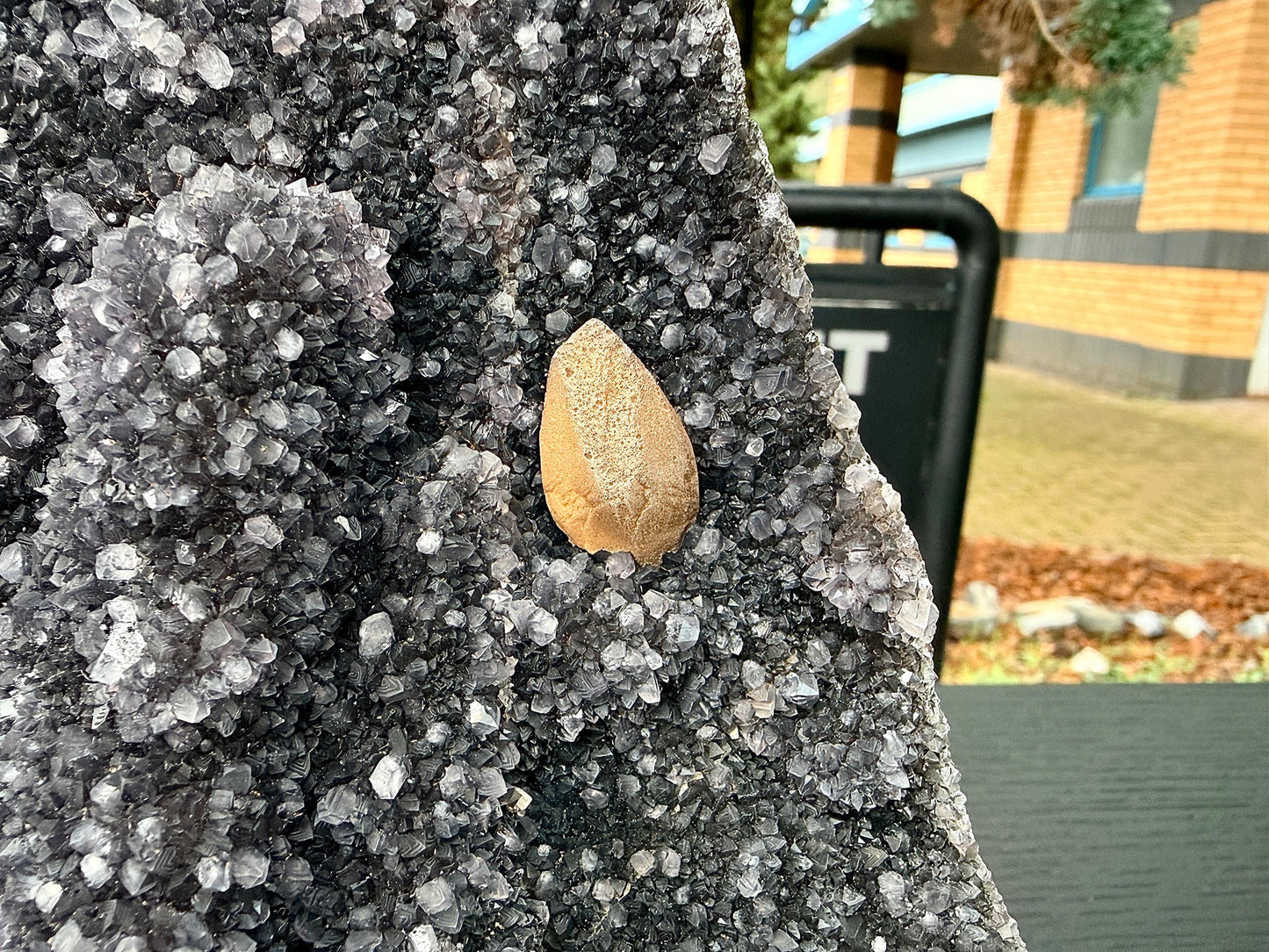 Extra Large Natural Black Amethyst Crystal Geode (#1)