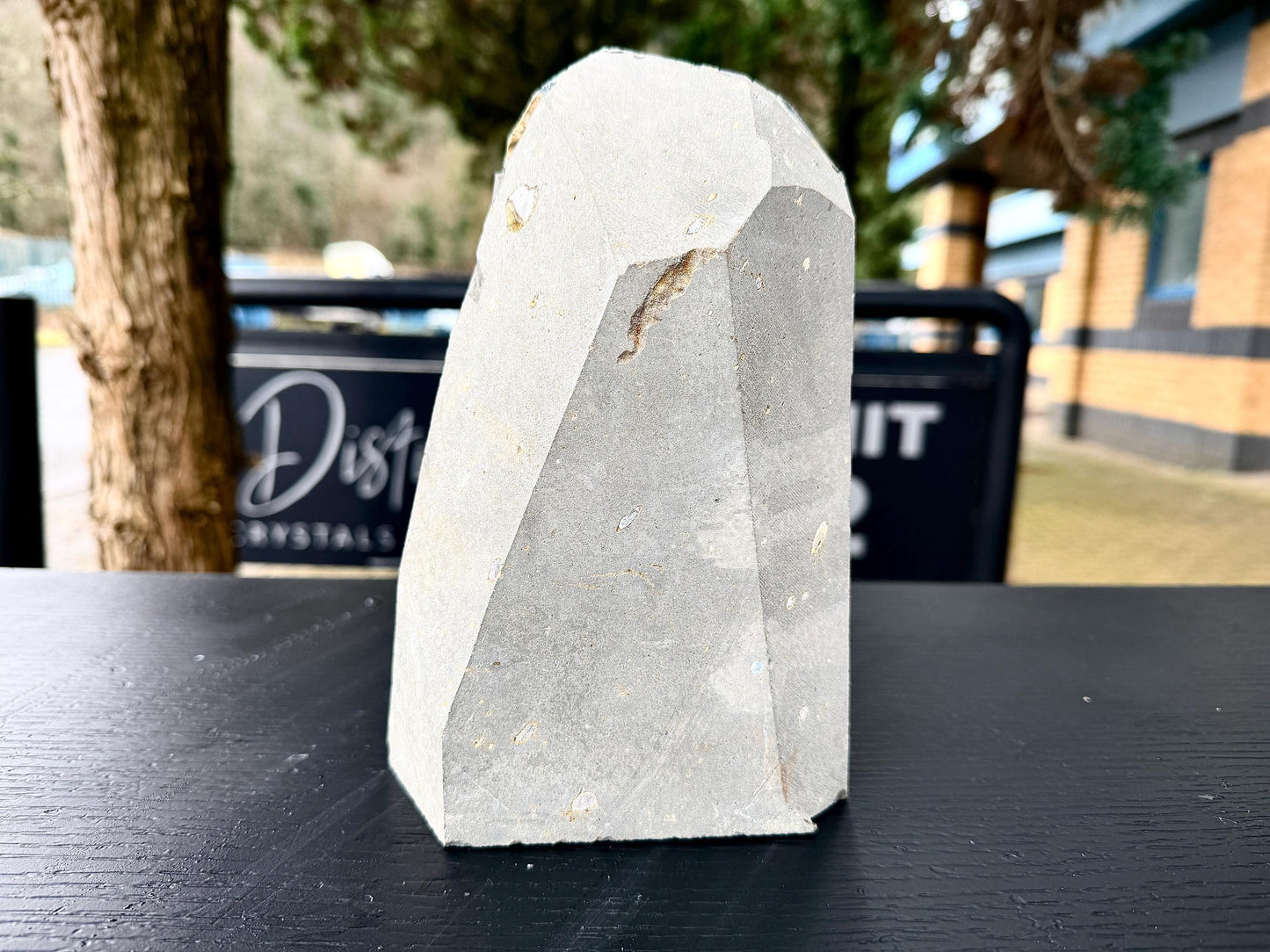 Extra Large Natural Black Amethyst Crystal Geode (#3)