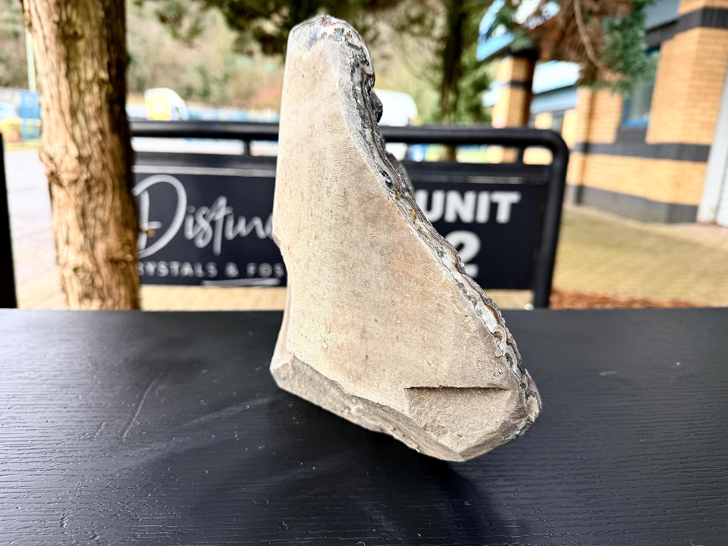 Extra Large Natural Black Amethyst Crystal Geode (#2)