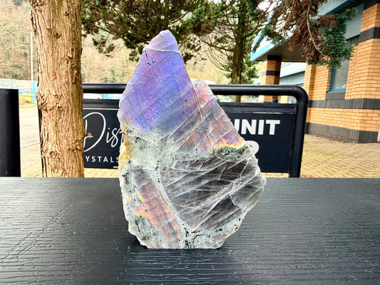 Purple Labradorite Crystal Freestanding (#19)