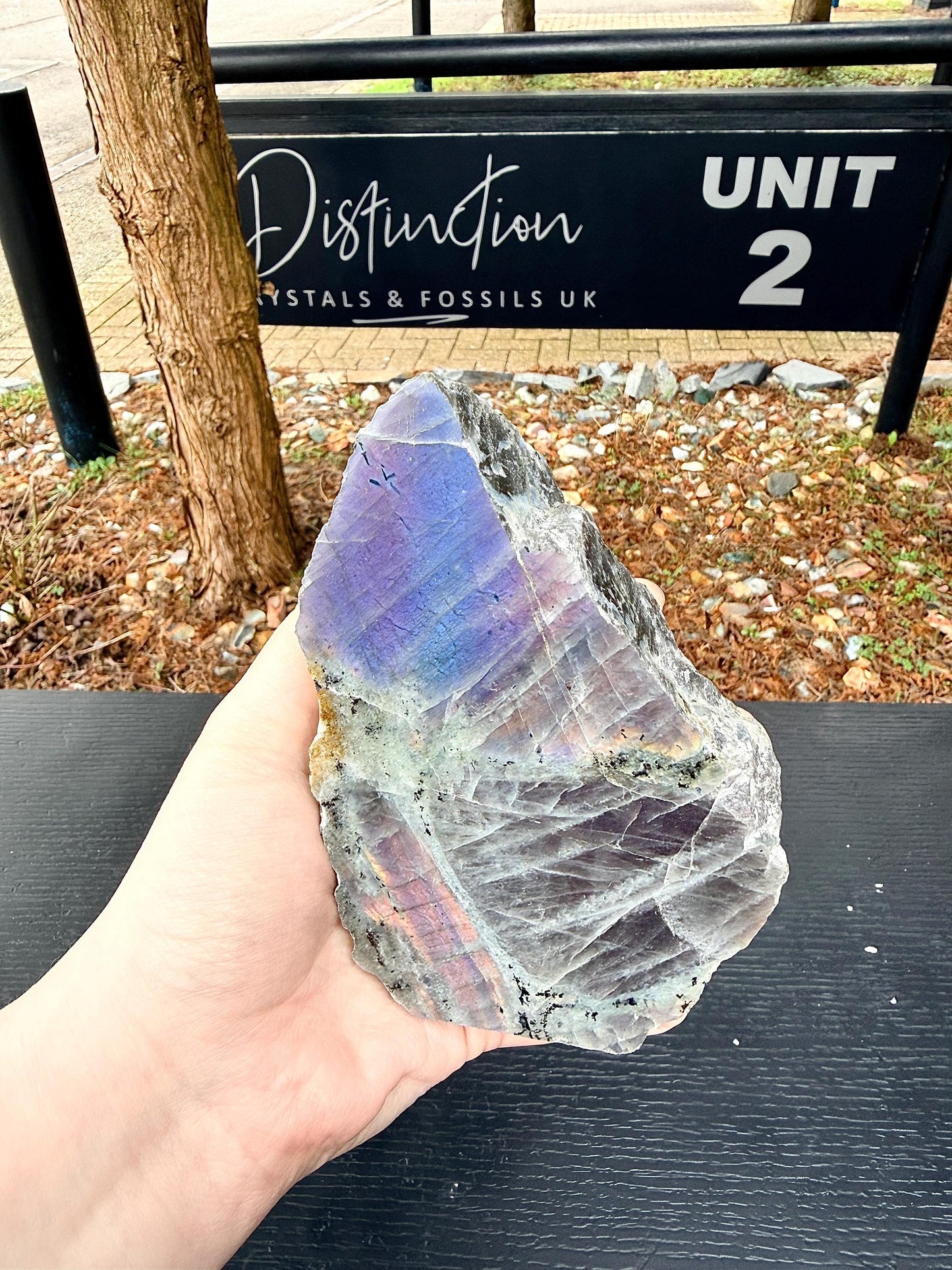 Purple Labradorite Crystal Freestanding (#19)