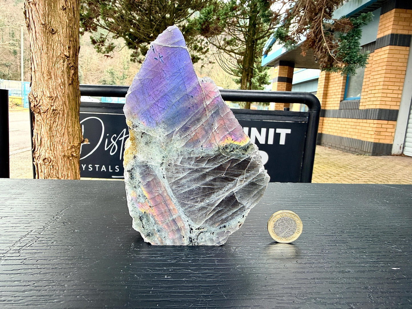Purple Labradorite Crystal Freestanding (#19)