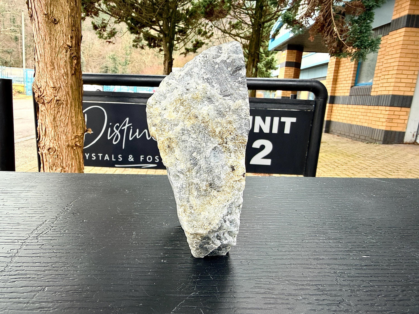 Purple Labradorite Crystal Freestanding (#19)
