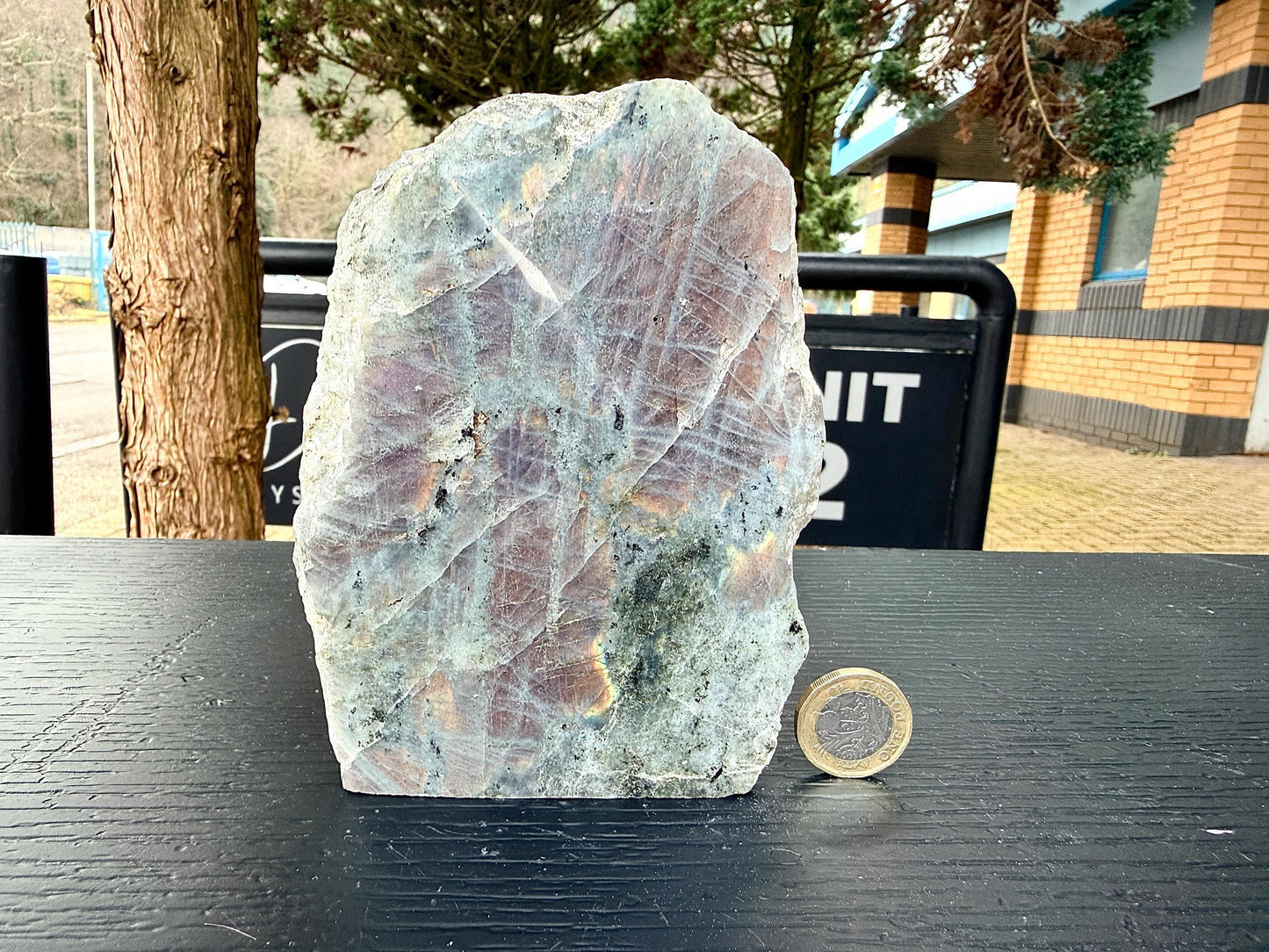 Purple Labradorite Crystal Freestanding (#18)
