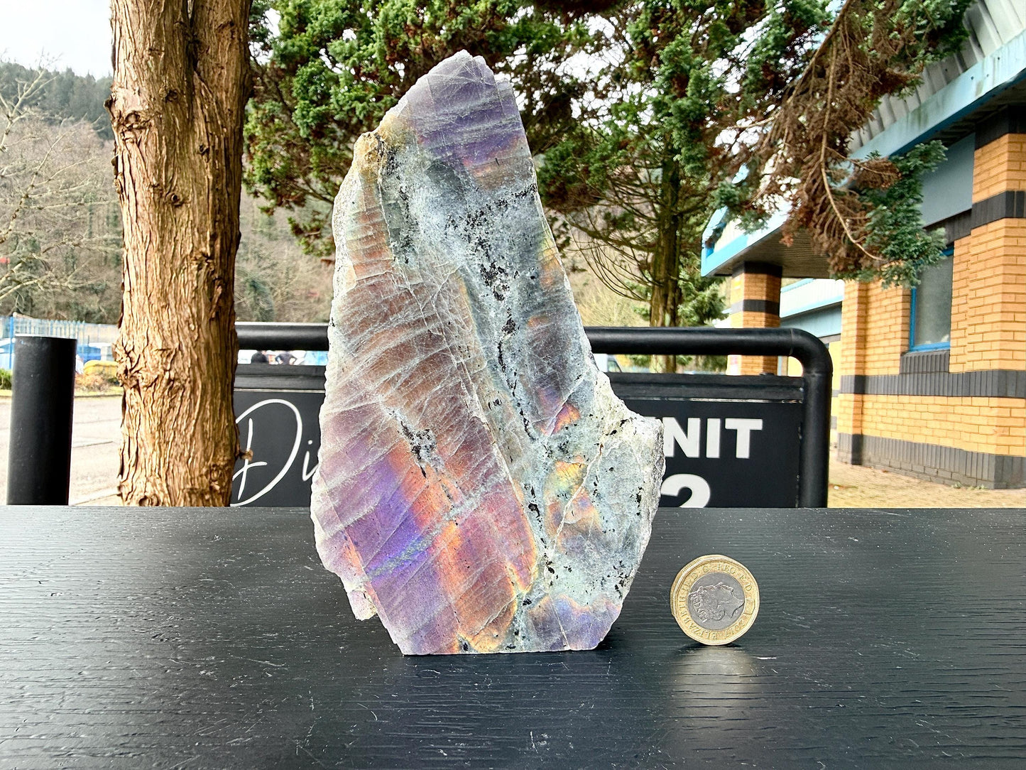 Purple Labradorite Crystal Freestanding (#5)