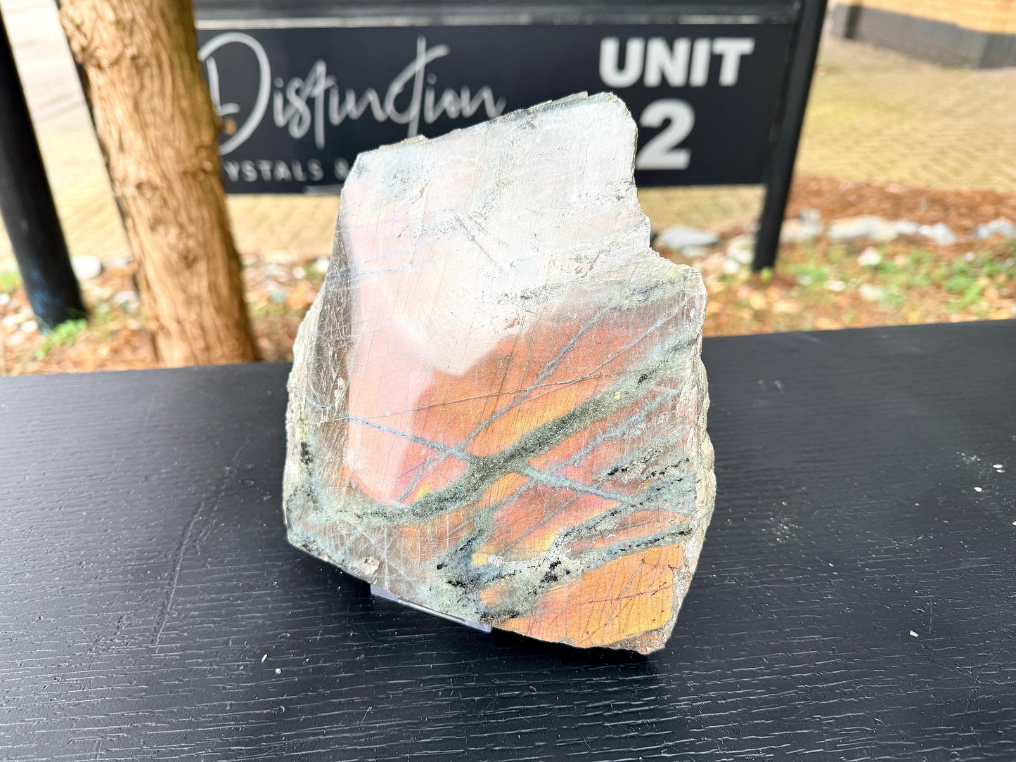 Large Purple Labradorite Crystal (#7)