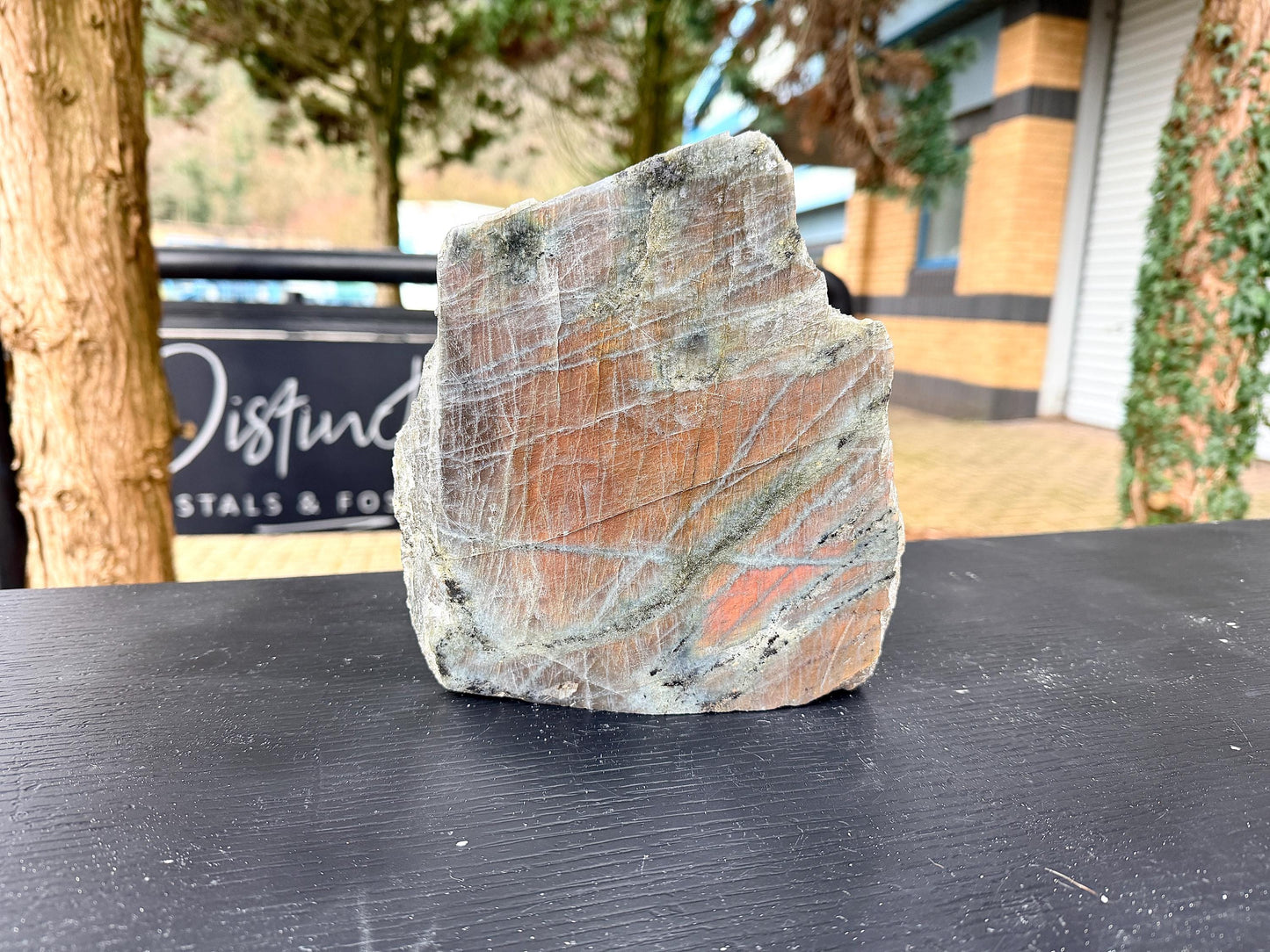 Large Purple Labradorite Crystal (#7)