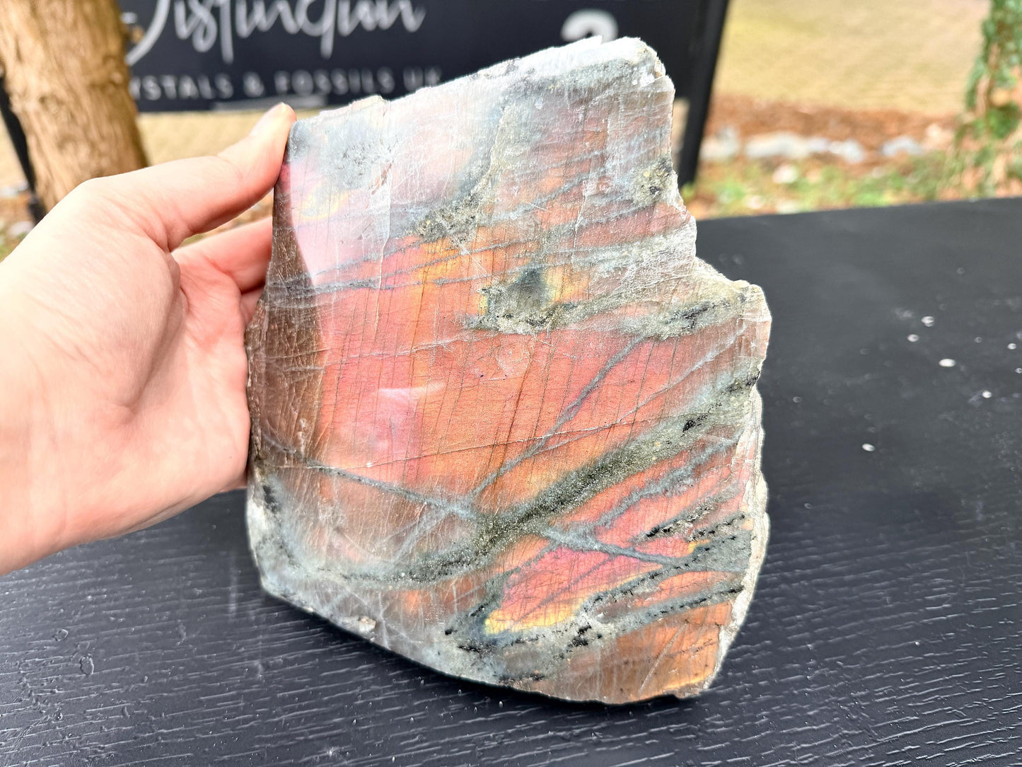 Large Purple Labradorite Crystal (#7)