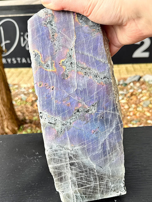 XL Purple Labradorite Freestanding Crystal (#1)