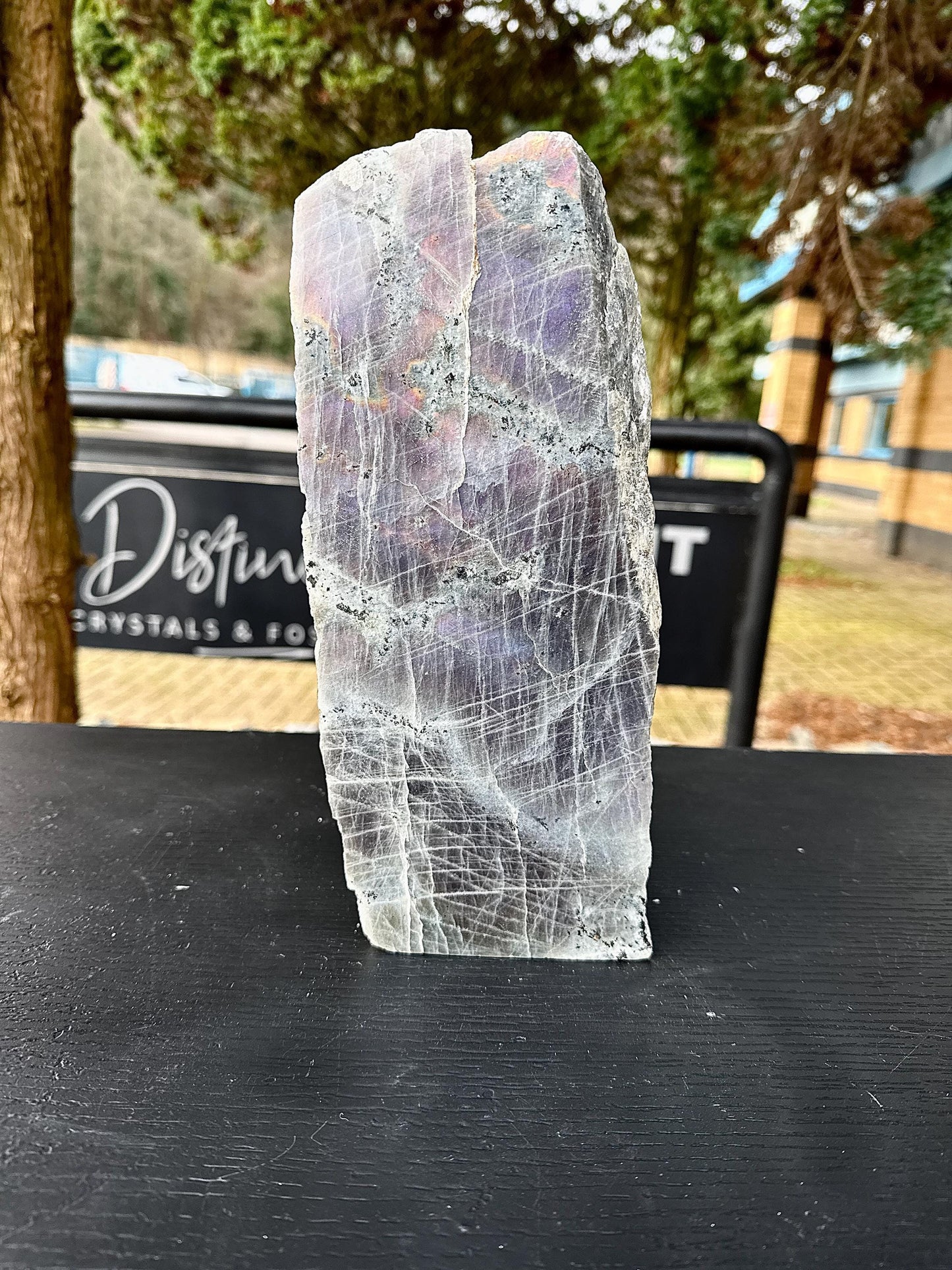XL Purple Labradorite Freestanding Crystal (#1)