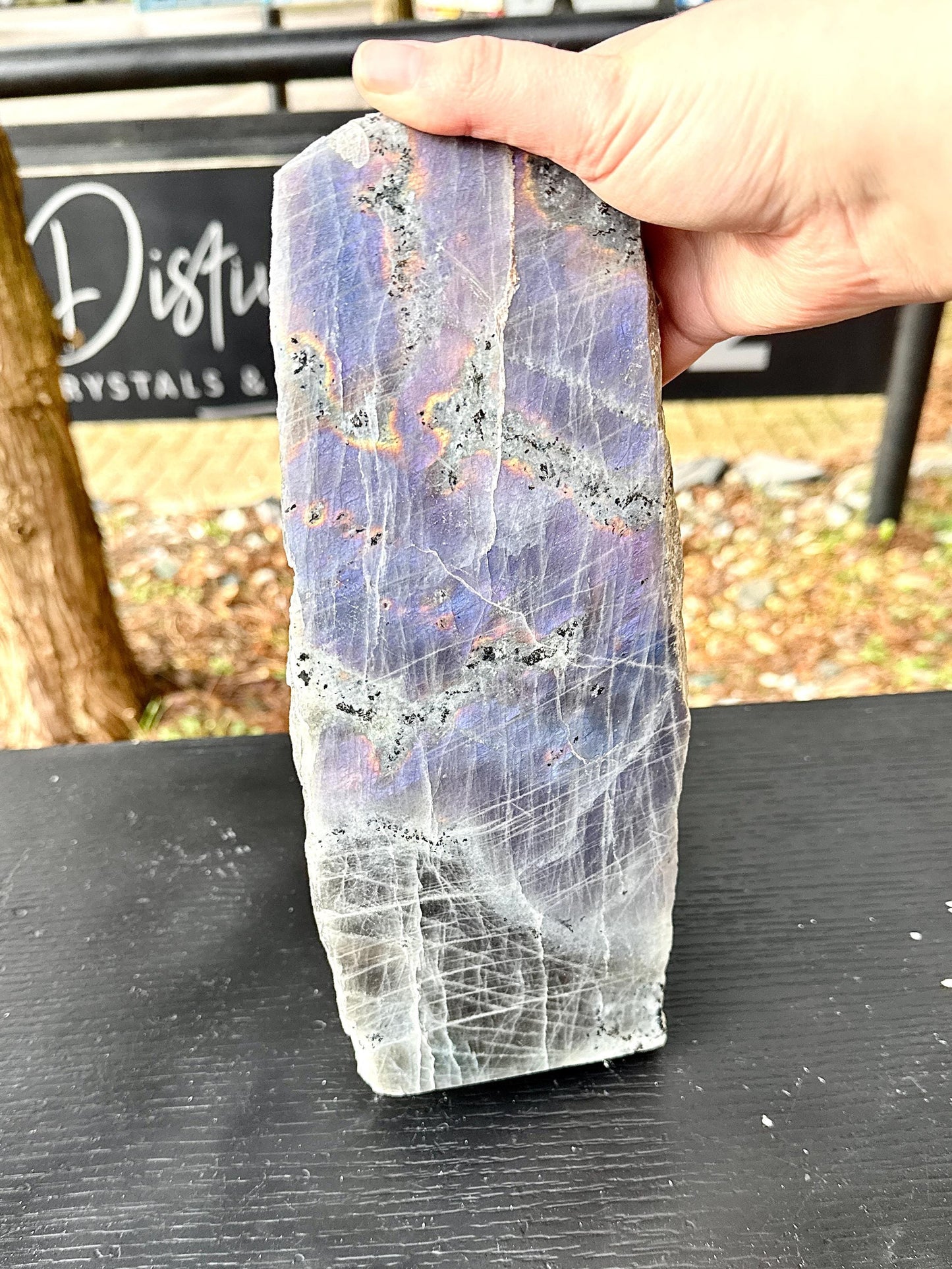 XL Purple Labradorite Freestanding Crystal (#1)