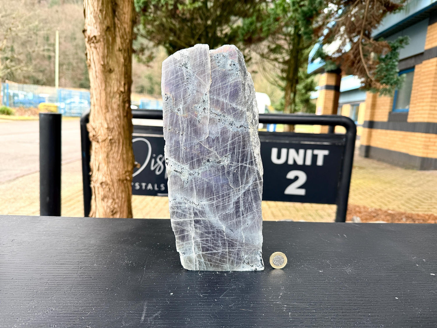 XL Purple Labradorite Freestanding Crystal (#1)