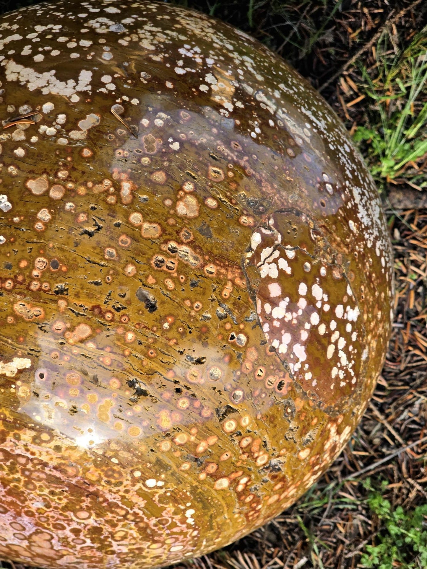 XXL Orbital Ocean Jasper Crystal Sphere 47KG