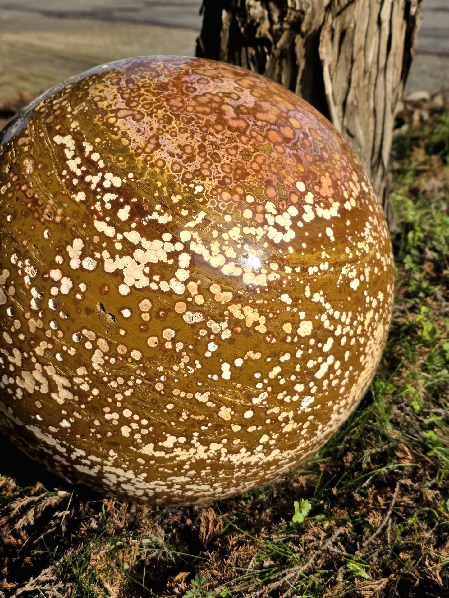 XXL Orbital Ocean Jasper Crystal Sphere 47KG