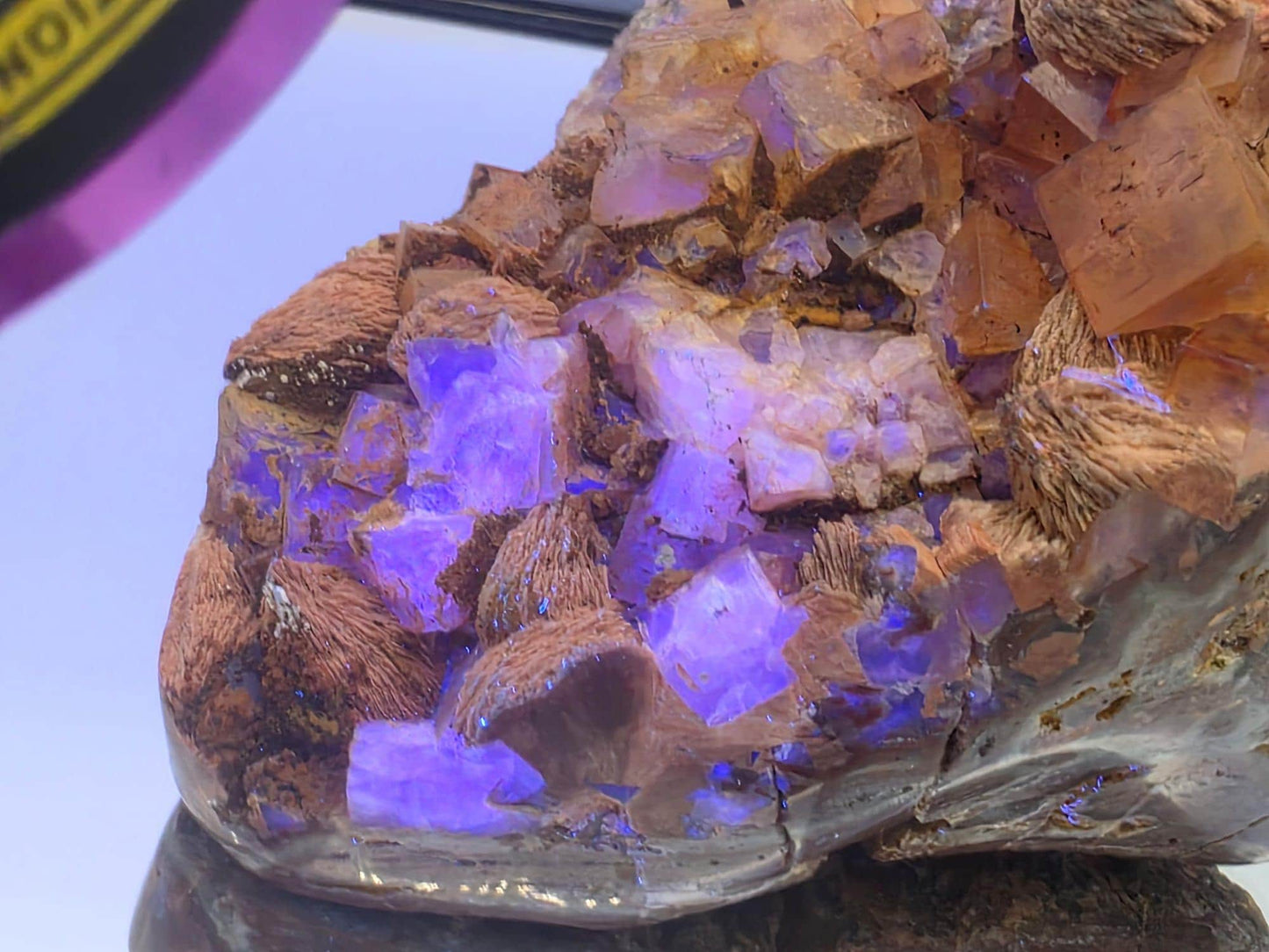 Large Yellow Fluorite on Polished Quartz Matrix | Collectors Crystal (DP)