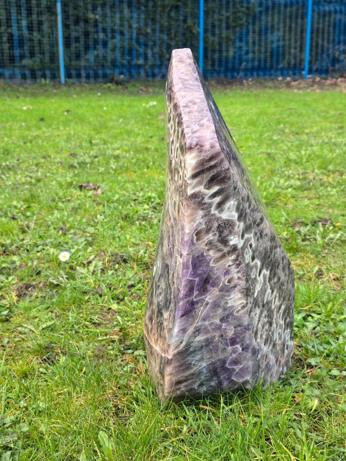 XL Dream Amethyst Crystal 25.45kg | Statement Interior Design Crystal