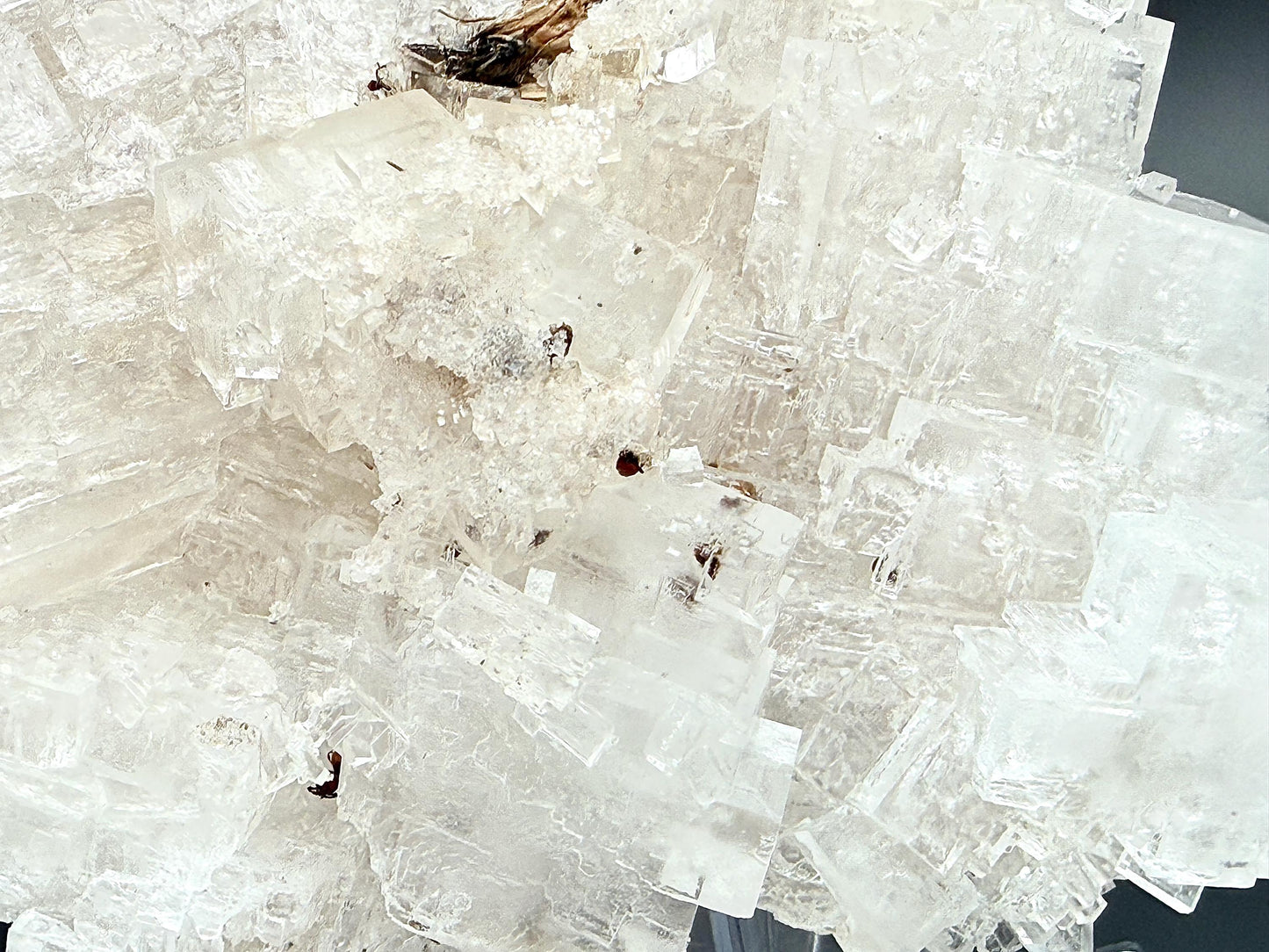Halite Cluster With Moth Inclusions - 0.78kg - Morocco