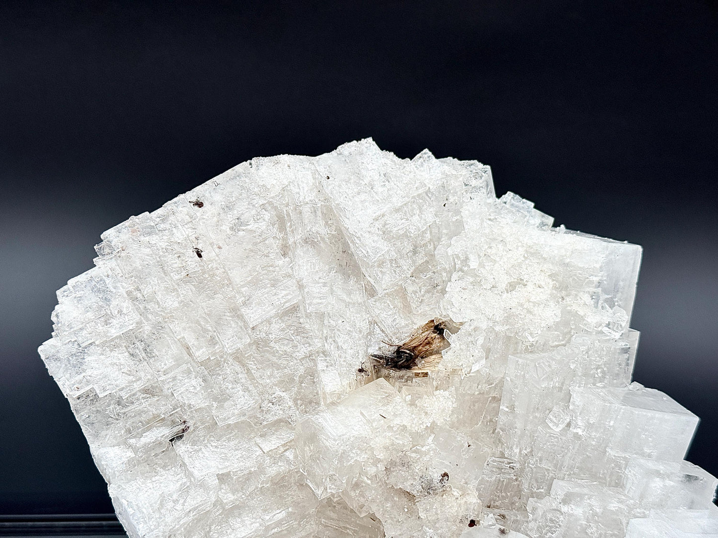 Halite Cluster With Moth Inclusions - 0.78kg - Morocco